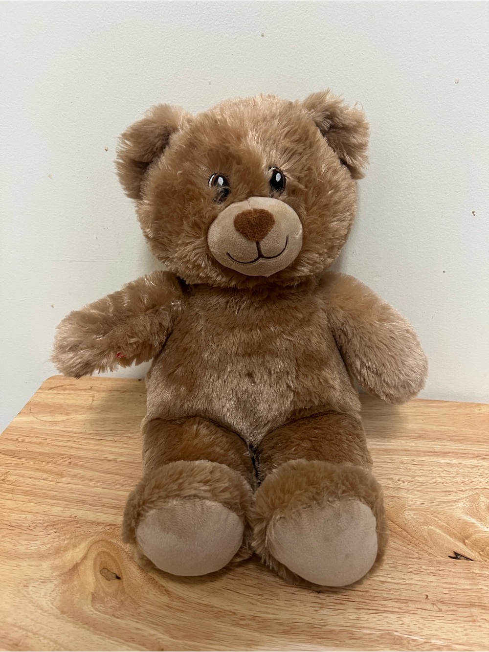 Build-A-Bear Teddy Bear